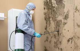 Professional Mold Remediation in Piney Green, NC